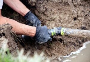 Sewer Line Repair in Jacksonville, FL